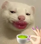 喝茶.jpg