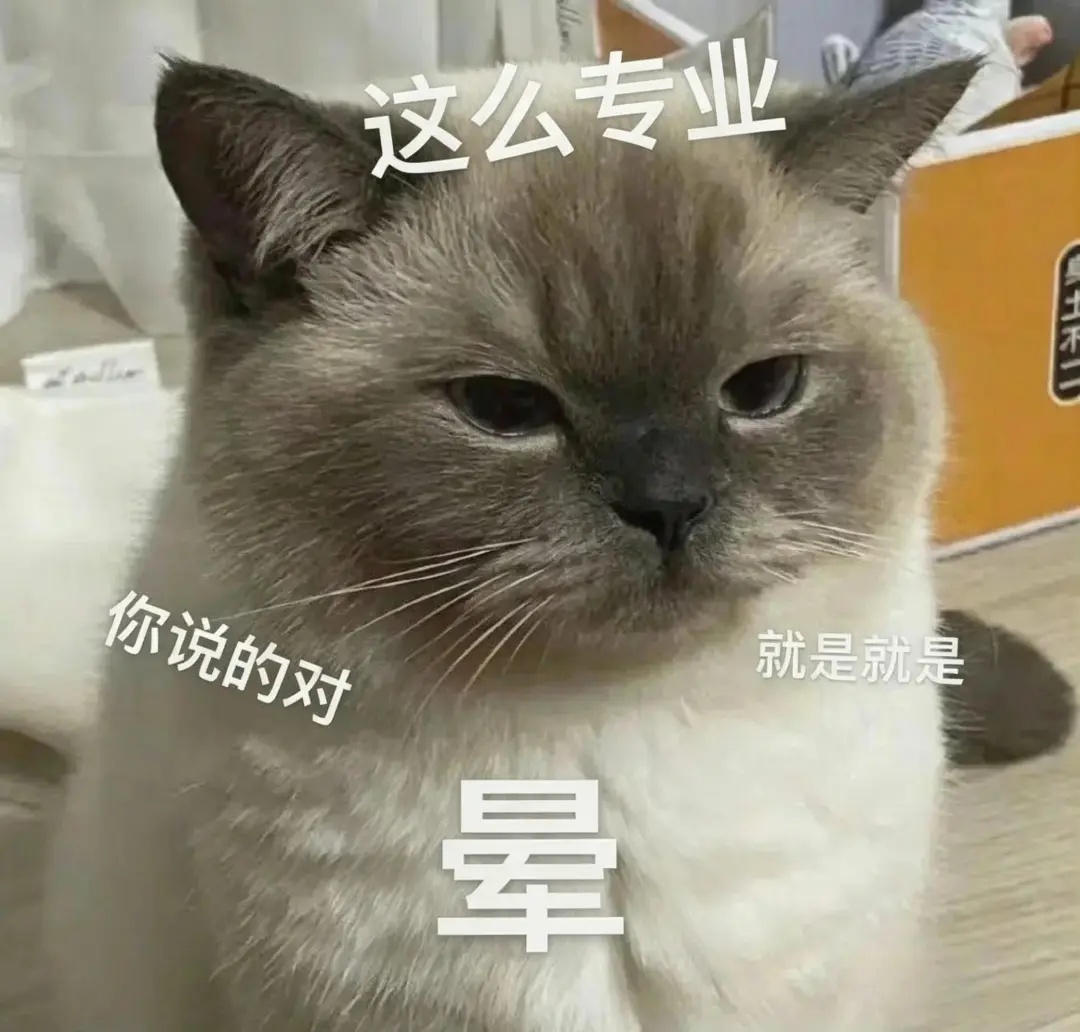 肌间脂肪组织IMAT.jpg
