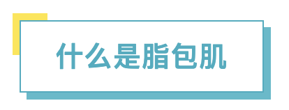 什么是脂包肌.png