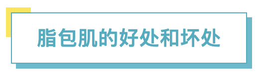 脂包肌的好处和坏处.png