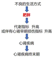 不良生活习惯.jpg