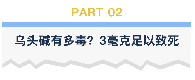 第二部分.png