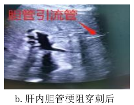 图片22.png