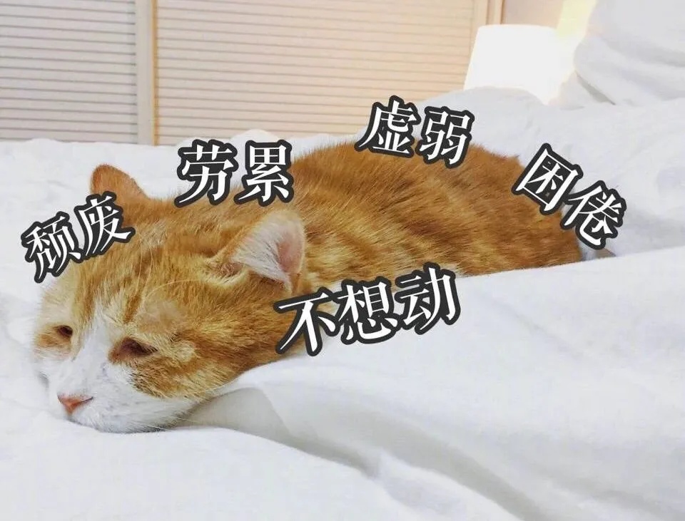 我不想动.jpg