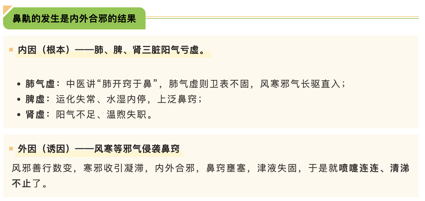 鼻鼽的发生是内外合邪的结果.png