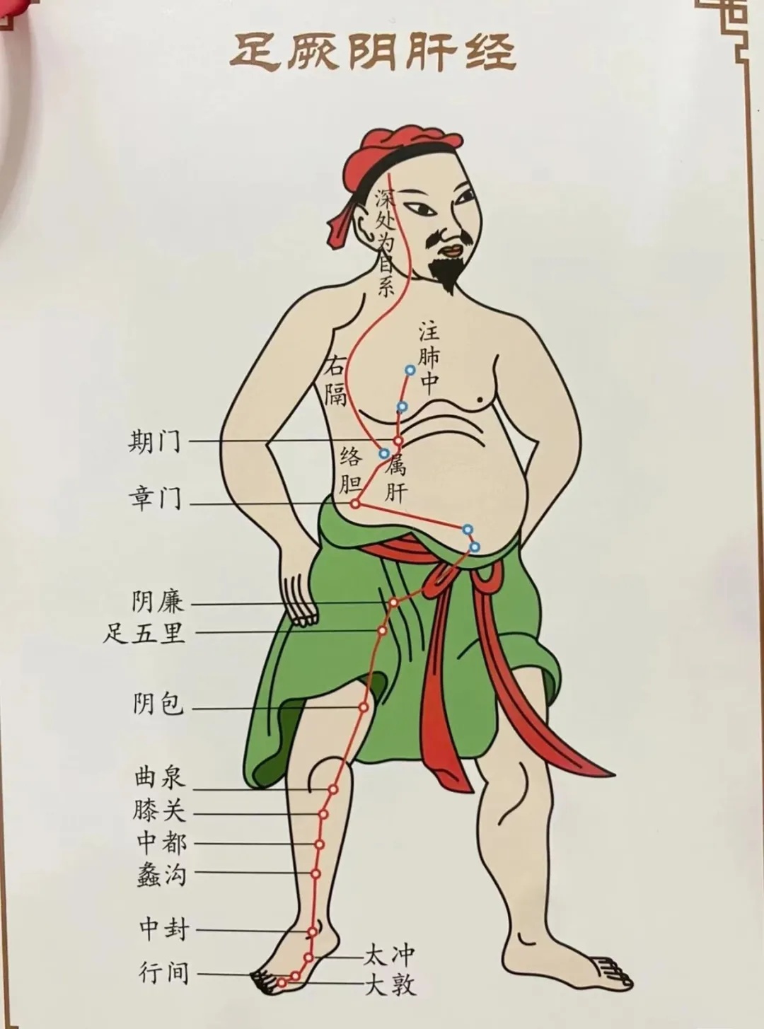 肝经是十二正经中唯一一条经过前阴的经络.jpg