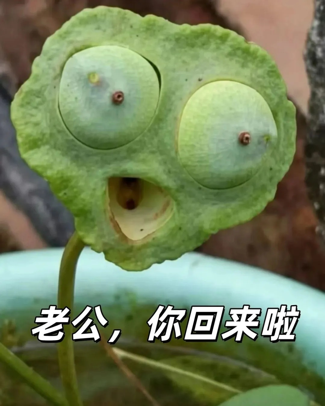 老公.jpg