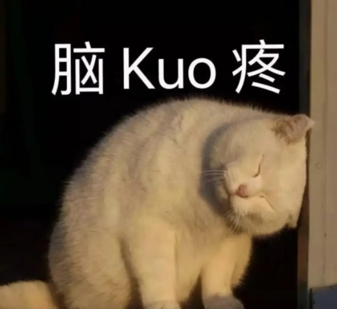 脑壳痛.jpg