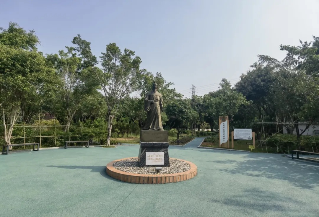 中草药园.jpg