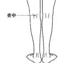 委中穴.jpg