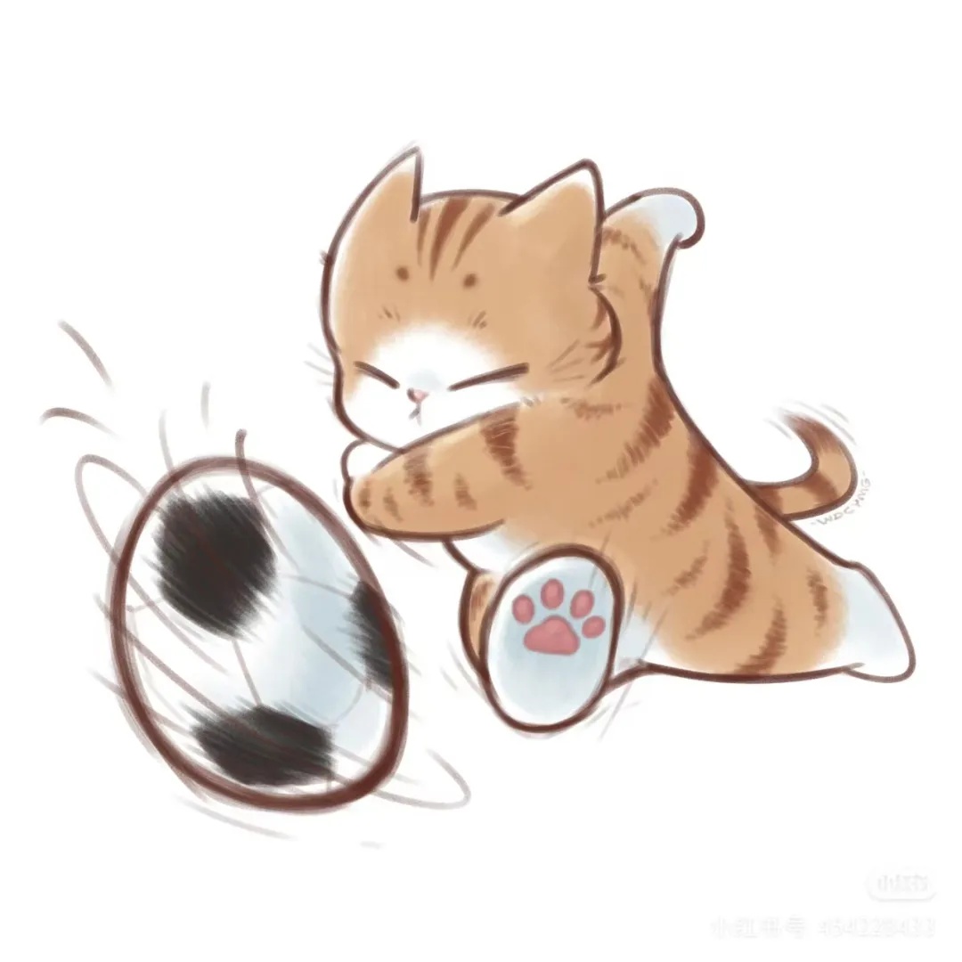 小猫踢球.jpg
