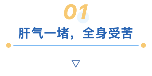 肝气一堵,全身受苦.png