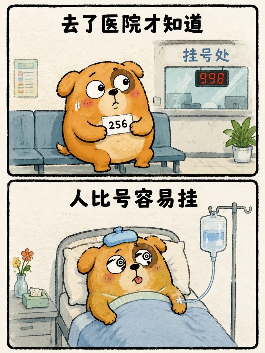 小红书 思思日记.jpg