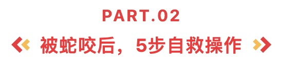 标题2.png