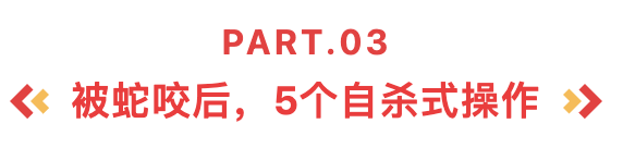 标题3.png