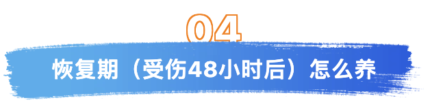 第四恢复期.png