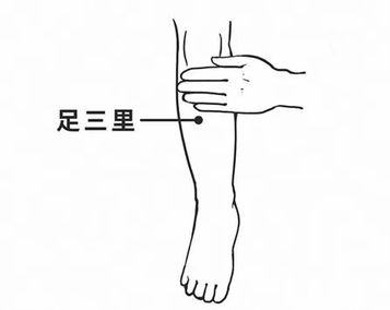 自动转存图片