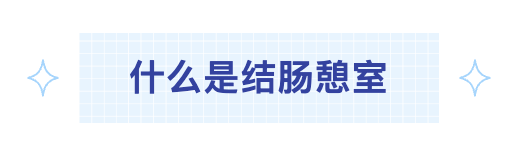 什么是结肠.png