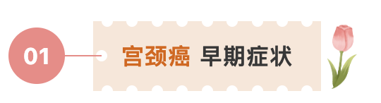 宫颈癌.png