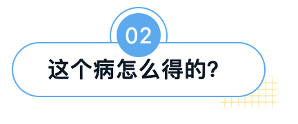 标题2.png