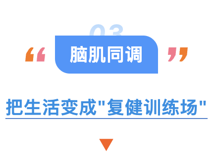 第三 脑肌同调.png