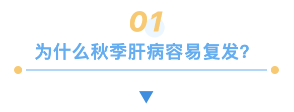 为什么秋季肝病容易复发？.png