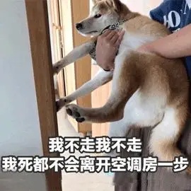 我不走你不走.jpg