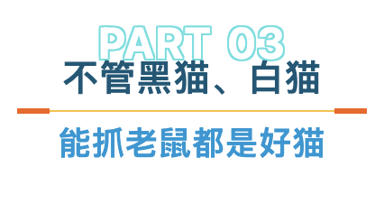 不管黑猫白猫.png