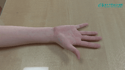 手指张合泵.gif