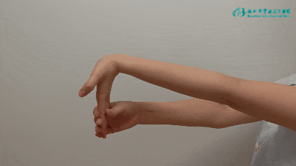 腕部拉伸.gif