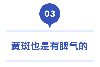 03 黄斑也是有脾气的.png