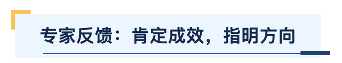 专家反馈.png