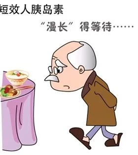 短效及预混人胰岛素.jpg