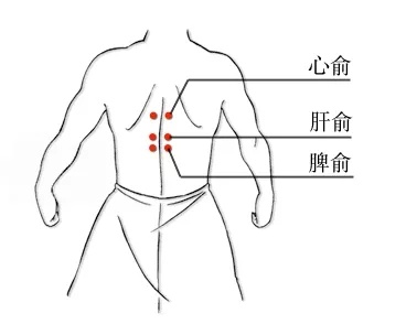 脾俞.jpg