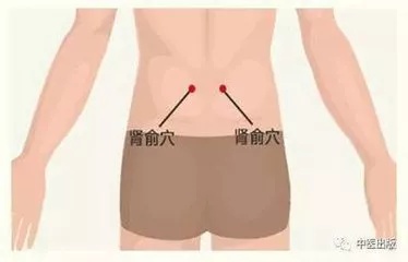 肾俞.jpg